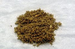 Nam sinh ở TP.HCM nhập viện vì ảo giác sau khi hút cỏ Mỹ
