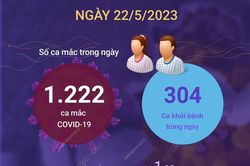 Cập nhật tình hình dịch COVID-19 tại Việt Nam ngày 22/5
