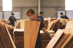 Ngành gỗ phải xác định 'ra biển lớn sẽ gặp sóng lớn'