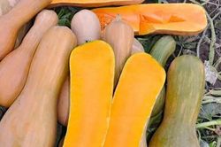 Mua bí đỏ chọn quả tròn hay quả dài ngon hơn: Người trồng chỉ 4 cách chọn chuẩn, đặc ruột, ngọt lịm