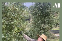 Cánh chim đầu đàn ở bản Dao Phiêng Dượng