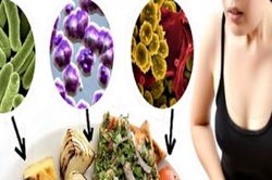 Chuyên gia dinh dưỡng chỉ cách bảo quản thực phẩm trong mùa hè để tránh ngộ độc