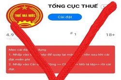 Lại đến cơ quan Thuế bị 'lôi' vào chiêu trò giả mạo nhằm lừa đảo, chiếm đoạt tài sản