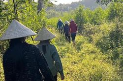 Nam sinh lớp 9 mất tích, cả trăm người đi tìm kiếm