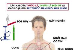 Hưởng ứng Ngày Thế giới không thuốc lá 31/5, Tuần lễ quốc gia không thuốc lá 25 – 31/5/2023