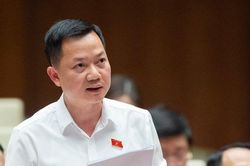 'Không phải nội dung gì cũng phải để Thủ tướng ra công điện'