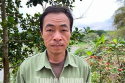 Làm giàu từ rừng