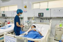 Hai mẹ con nhập viện nghi do ngộ độc nấm mọc trên xác nhộng ve sầu