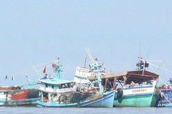 Cà Mau: Sử dụng phần mềm báo cáo dữ liệu IUU