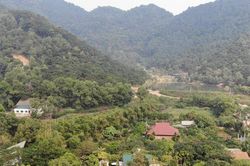 Chủ tịch Hà Nội chỉ đạo phòng chống cháy rừng mùa nắng nóng