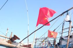 Đà Nẵng: Tăng cường kiểm soát chặt chẽ tại âu thuyền cảng cá Thọ Quang