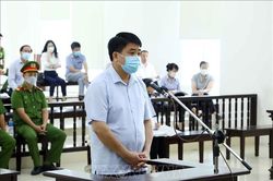 Kết luận điều tra bổ sung vụ án nâng khống giá cây xanh ở Hà Nội