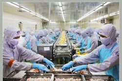 Xuất khẩu chính ngạch - 'chìa khóa' để hàng thủy sản tươi sống sang Trung Quốc mạnh lên