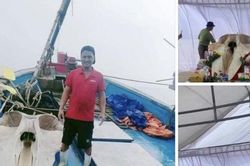 Vớt được mảnh xương sọ cá voi nặng hơn 2 tạ, ngư dân cho vào tủ kính trưng bày