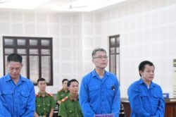 Vào tù tội giết người vì thả chó cắn hàng xóm