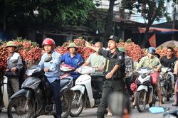 Căng mình điều tiết giao thông giữa nắng nóng gay gắt tại thủ phủ vải thiều Lục Ngạn