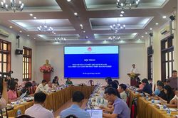 Quyền tự do kinh doanh của doanh nghiệp chưa thực sự được bảo đảm