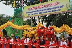 Đồng Nai có 140 vùng trồng sầu riêng được cấp mã số xuất khẩu