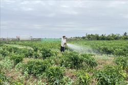 Chính sách đất đai cho đồng bào dân tộc thiểu số