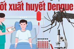 Info: Khi nào cần xét nghiệm xét nghiệm sốt xuất huyết Dengue?