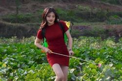 Đỏ mặt trước hot girl mặc sườn xám, váy công sở đi làm ruộng
