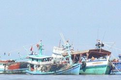 Cà Mau: Tập trung thực hiện các nhiệm vụ chống khai thác IUU