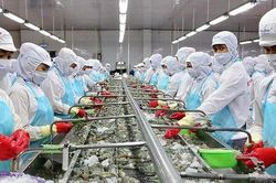 VASEP: Trung Quốc tăng cường nhập khẩu, tôm Việt Nam hưởng lợi