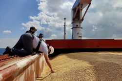Thỏa thuận ngũ cốc: Tổng thống Ukraine mời Nam Phi tham gia; Nga sẵn sàng gia hạn với một điều kiện