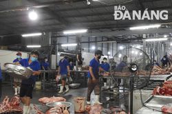 Sớm di dời Trung tâm Chế biến gia súc, gia cầm Đà Nẵng