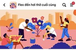 Trào lưu 'flex': Ranh giới mong manh