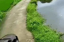 Clip: Lái ô tô đi ẩu lao thẳng xuống ao làng