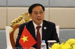 Bộ Ngoại giao Việt Nam và Áo hợp tác chặt chẽ, hiệu quả hơn nữa