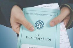 Đà Nẵng: Số người tham gia bảo hiểm tăng trong 6 tháng đầu năm