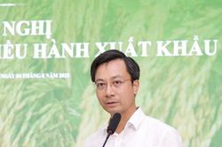 Nguồn gạo của Việt Nam ra sao trước nhu cầu xuất khẩu tăng đột biến?