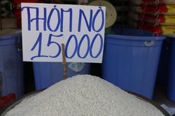Các tỉnh, thành cần phối hợp triển khai công tác bình ổn thị trường lúa, gạo