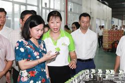 Biến khó khăn thành lợi thế, tạo đà phát triển huyện Ba Vì trong dài hạn