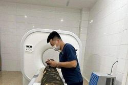 Cây trầm hương được chụp cắt lớp vi tính tại Hà Tĩnh