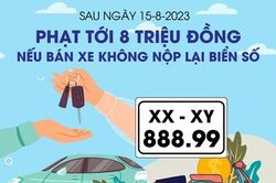 Bán xe không nộp lại biển số xe sẽ bị phạt bao nhiêu tiền?