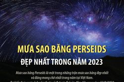 Mưa sao băng Perseids đẹp nhất trong năm 2023