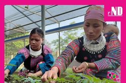 Tạo sinh kế cho người dân để giữ rừng