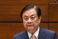 Giá lúa gạo tăng: Bình tĩnh để nhận định trước mặt trái