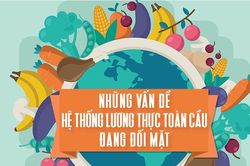 Infographic: Những vấn đề hệ thống lương thực toàn cầu đang đối mặt