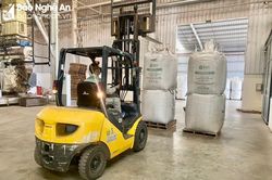 Các công ty gỗ ở Nghệ An nhận đơn hàng xuất khẩu trở lại