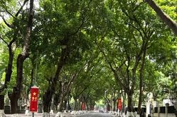 Thời tiết hôm nay (17-8): Hà Nội và các tỉnh Bắc Bộ ngày nắng nóng, oi bức, chiều và tối có mưa dông