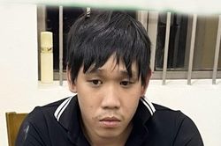Đồng Nai: Bắt giữ đối tượng chuyên bẻ gương chiếu hậu xe ô tô