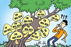 Tôi thấy hiện nay ở nước mình có quá nhiều cuộc thi hoa hậu ông giáo?
