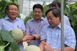 Phát huy vai trò tuyên truyền chính sách và hỗ trợ kỹ thuật khuyến nông theo hướng 'cầm tay chỉ việc'