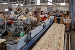 Hoa Kỳ gia hạn kết luận điều tra lẩn tránh thuế với tủ gỗ từ Việt Nam