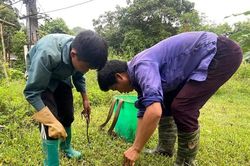 Trung Quốc lùng mua cả triệu đồng/kg, nhiều người đi kích điện ngày đêm lấy giun đất bán