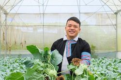 Sơn La: Điểm sáng từ các chuỗi liên kết sản xuất tiêu thụ sản phẩm vùng dân tộc